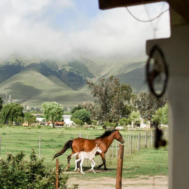 Tafí del ValleEntre Montanasアパートメント エクステリア 写真